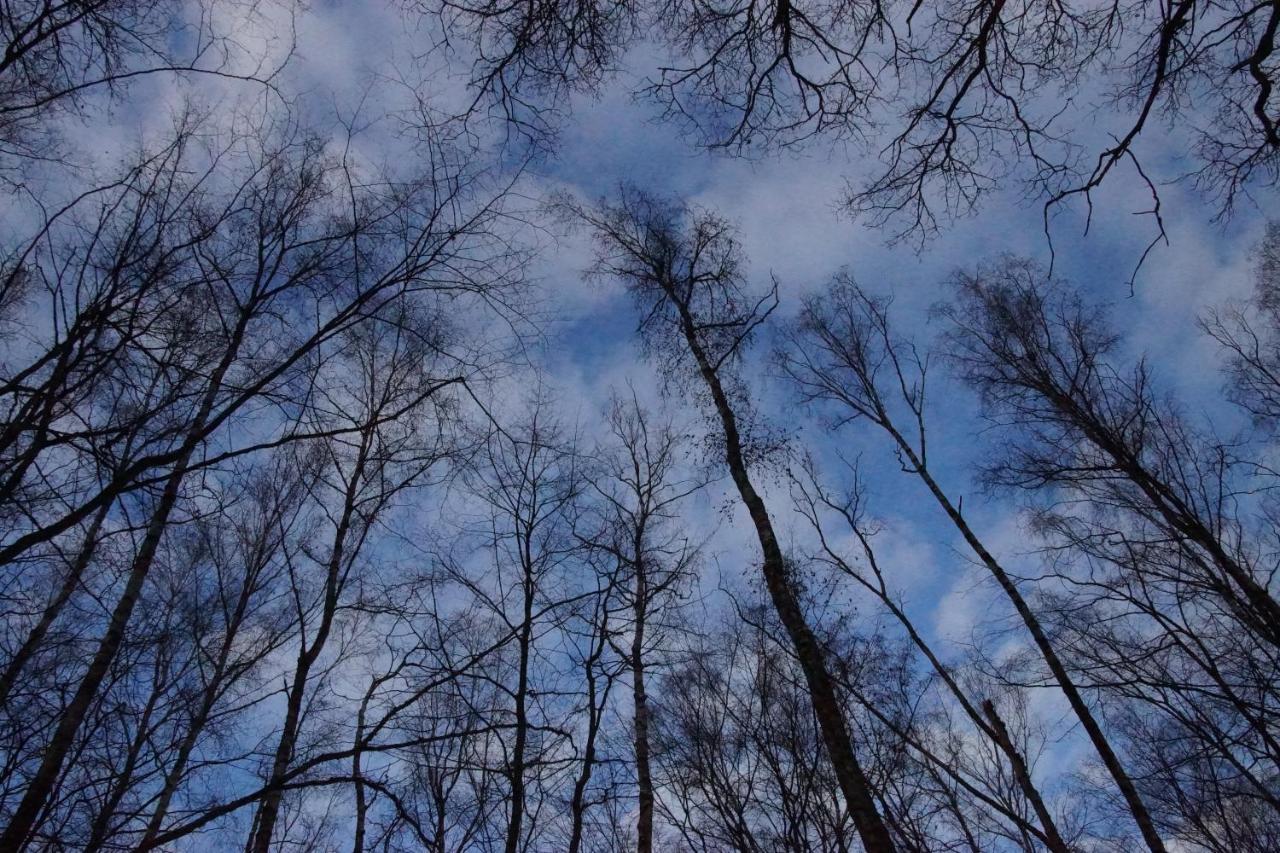Gaestehaus Koehler Waldsolms Exteriér fotografie