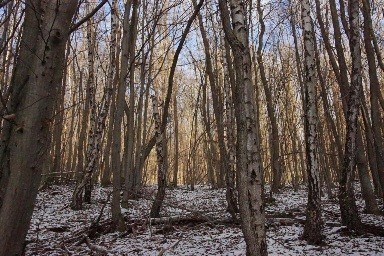 Gaestehaus Koehler Waldsolms Exteriér fotografie