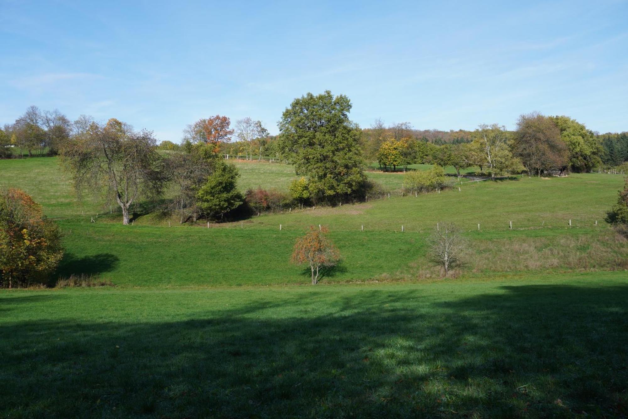 Gaestehaus Koehler Waldsolms Exteriér fotografie