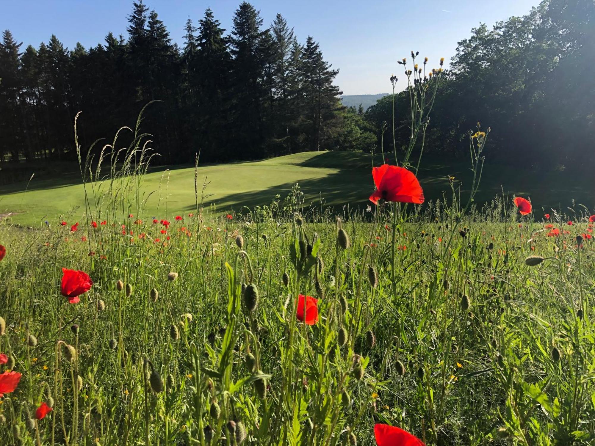 Gaestehaus Koehler Waldsolms Exteriér fotografie