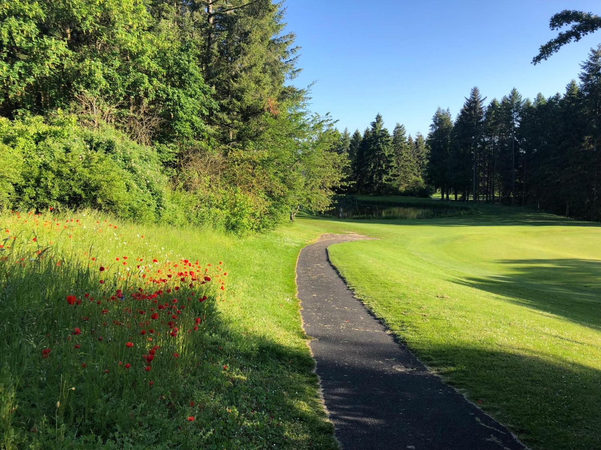 Gaestehaus Koehler Waldsolms Exteriér fotografie