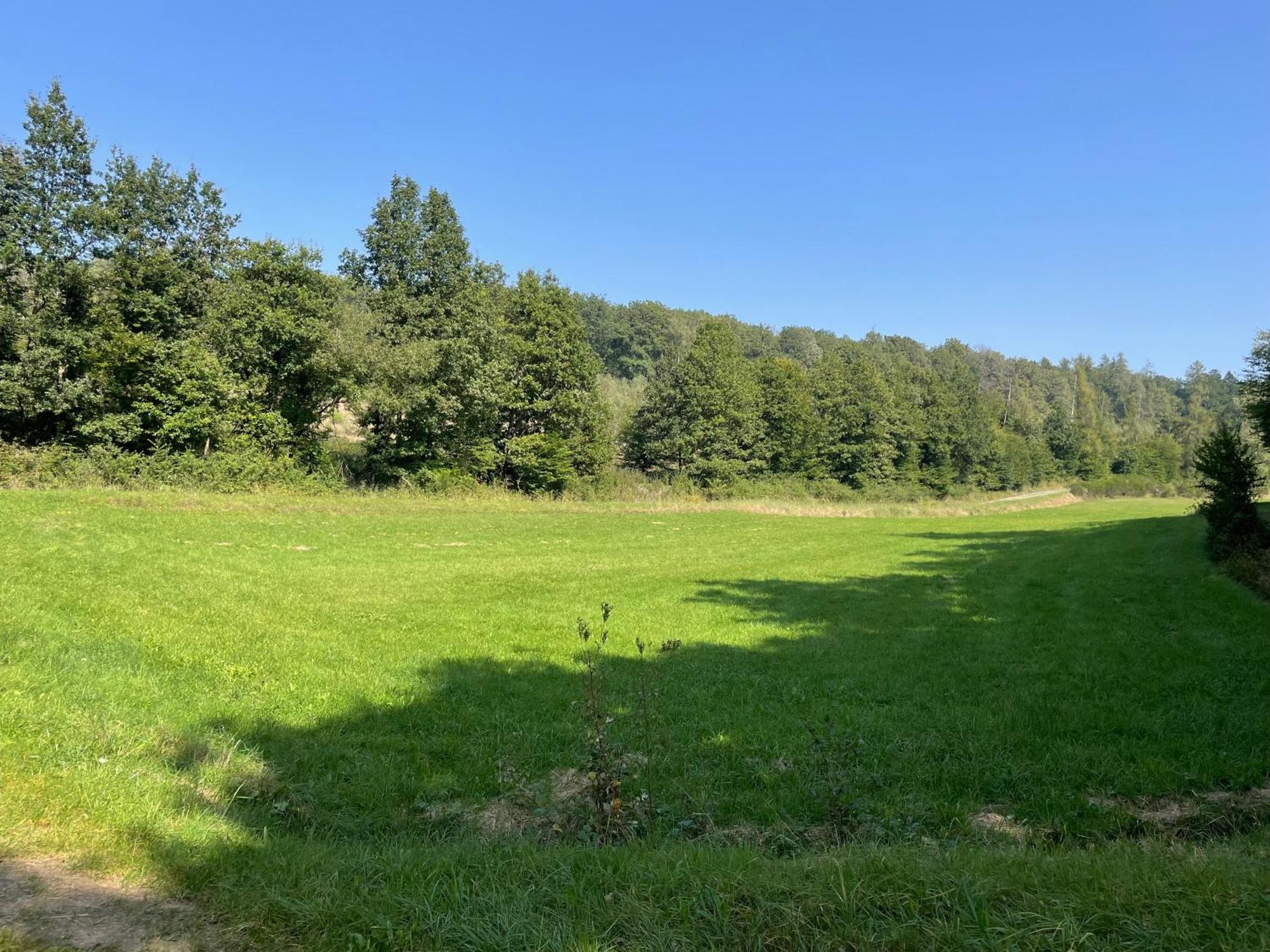 Gaestehaus Koehler Waldsolms Exteriér fotografie