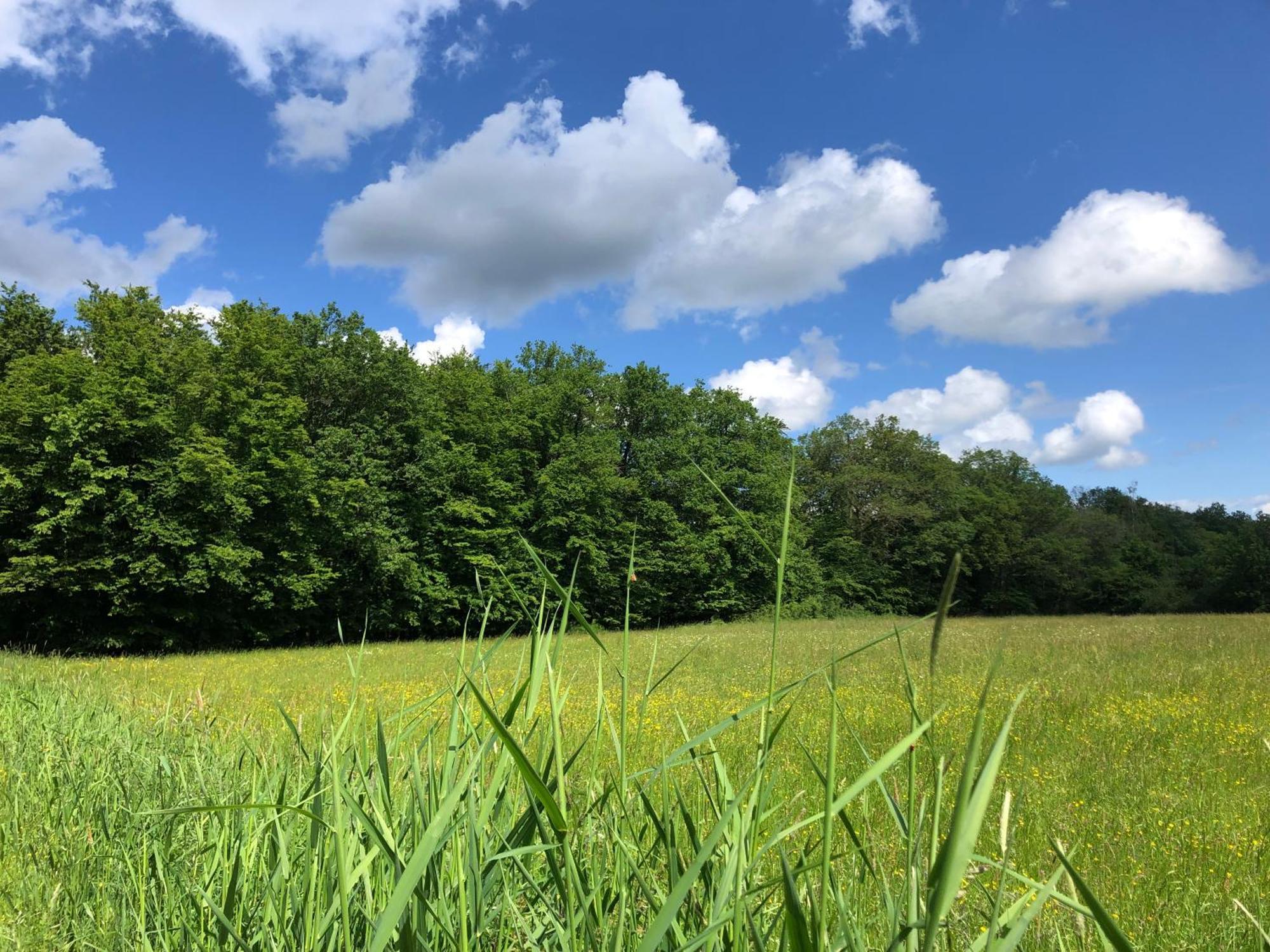 Gaestehaus Koehler Waldsolms Exteriér fotografie
