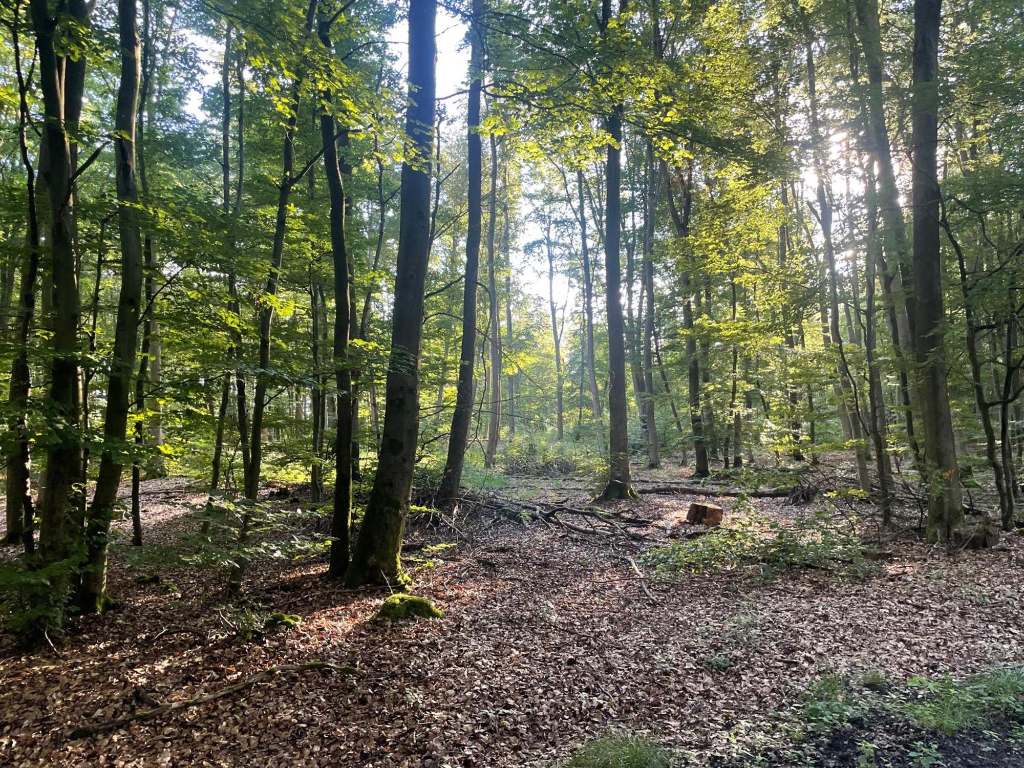 Gaestehaus Koehler Waldsolms Exteriér fotografie