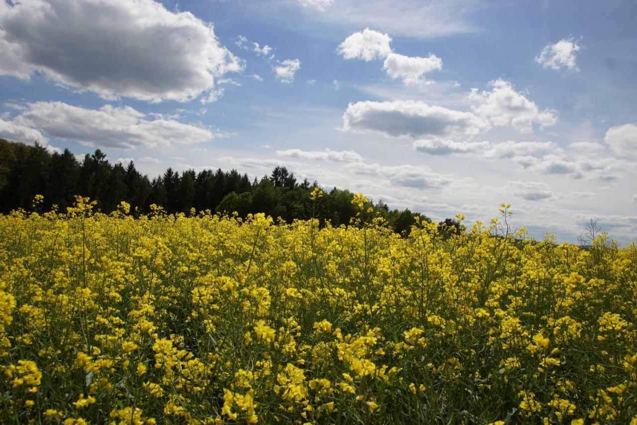 Gaestehaus Koehler Waldsolms Exteriér fotografie